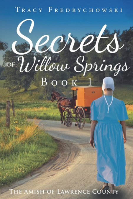 Secrets of Willow Springs - Book 1