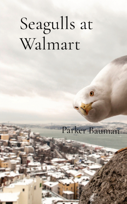 Seagulls at Walmart