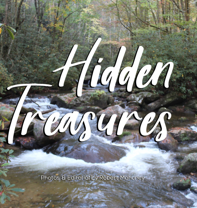 HIDDEN TREASURES