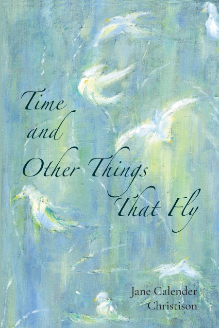 TIME AND OTHER THINGS THAT FLY