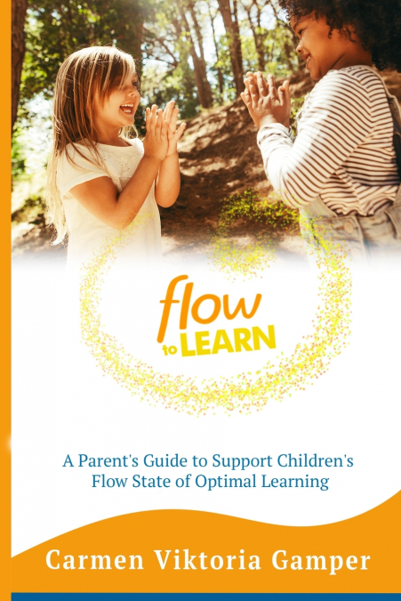 Flow To Learn