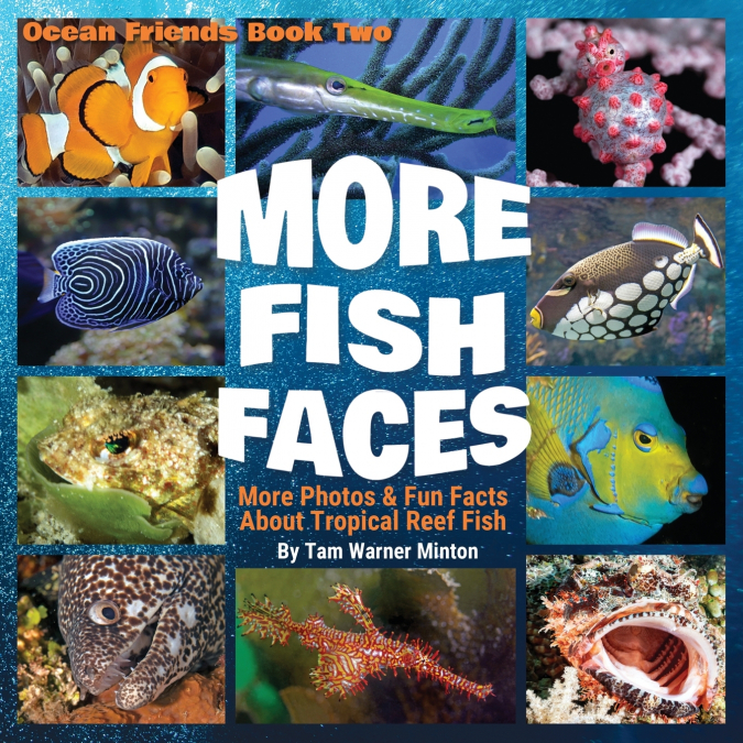 More Fish Faces UPDATED