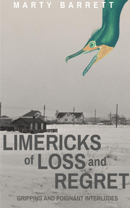 Limericks of Loss And Regret