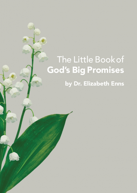 The Little Book of God’s Big Promises