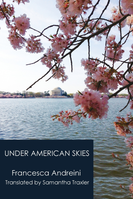 UNDER AMERICAN SKIES