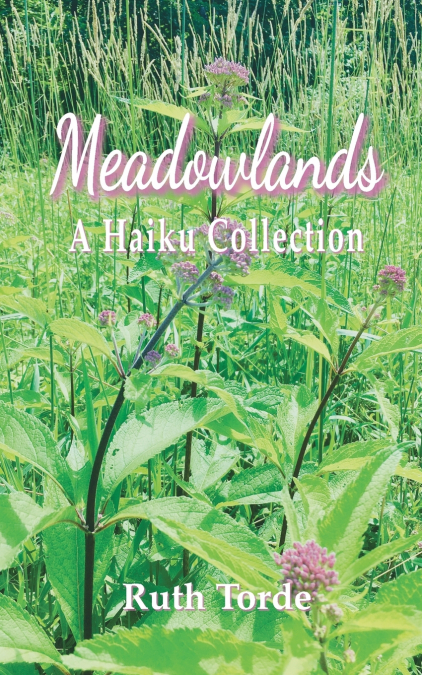 Meadowlands