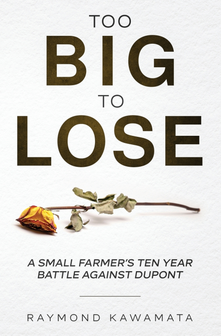 Too Big to Lose