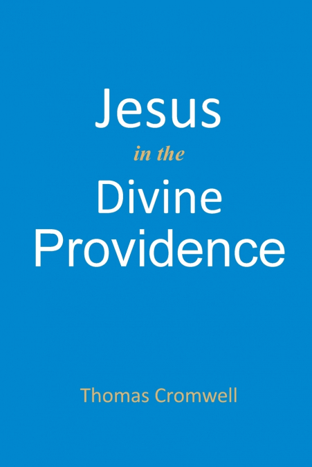 Jesus in the Divine Providence