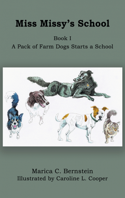 Miss Missy’s School