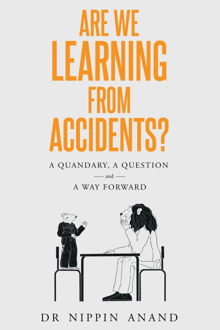 Are We Learning from Accidents?