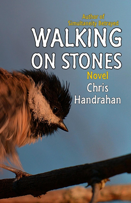 Walking on Stones