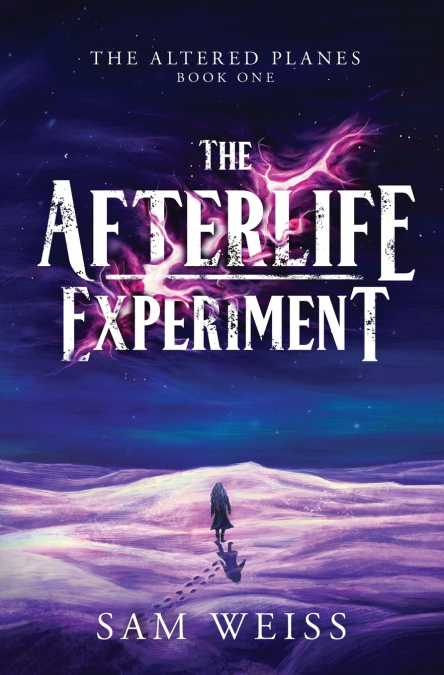 The Afterlife Experiment