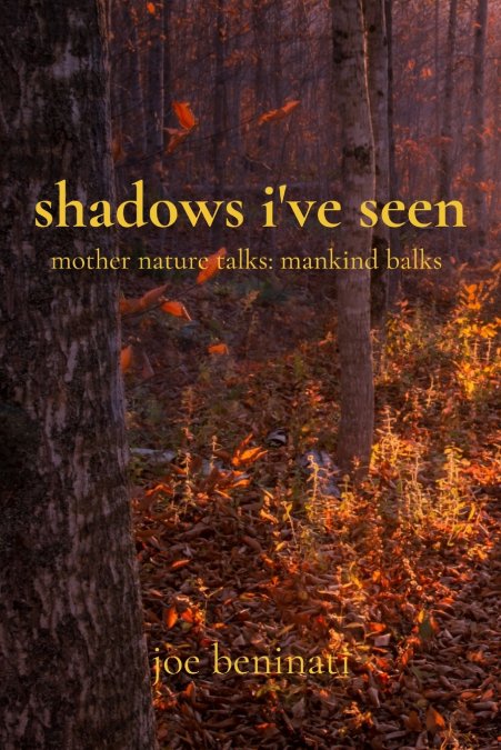 shadows i’ve seen