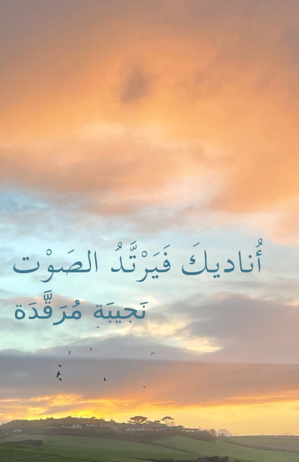 أُناديكَ فَيَرْتَّدُ الصَوْت