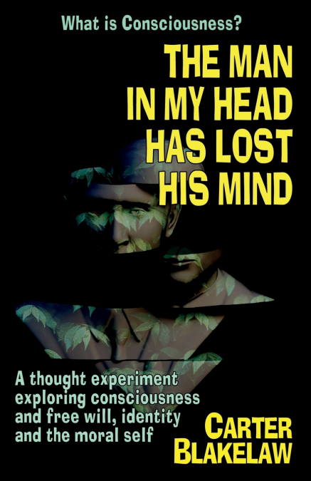 The Man in My Head Has Lost His Mind (What is Consciousness?)