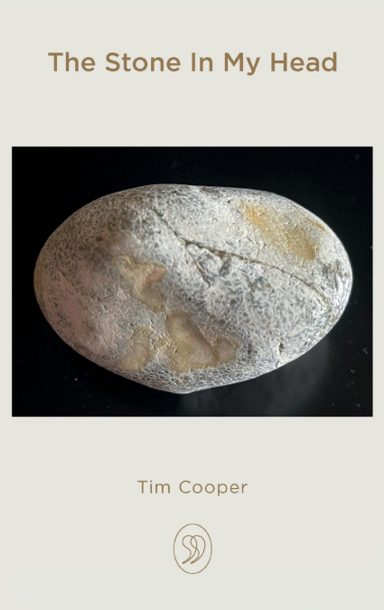 The Stone In My Head