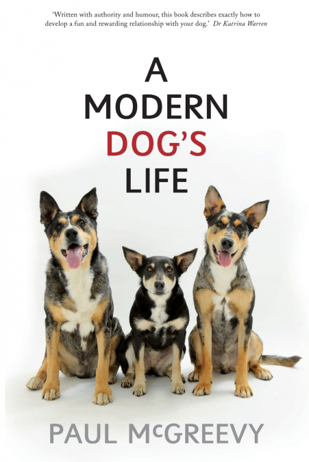 A Modern Dog’s Life
