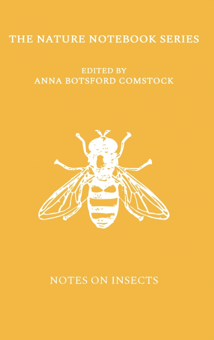 Notes on Insects