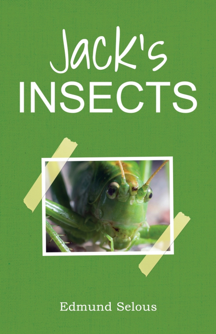 Jack’s Insects