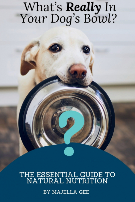 What’s Really in Your Dog’s Bowl?