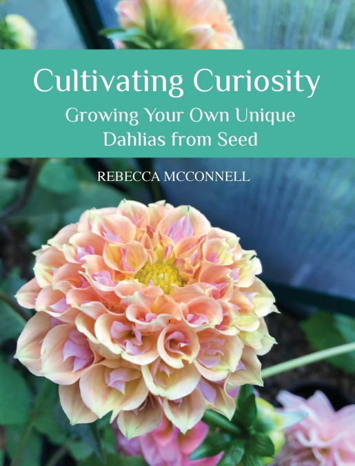 Cultivating Curiosity