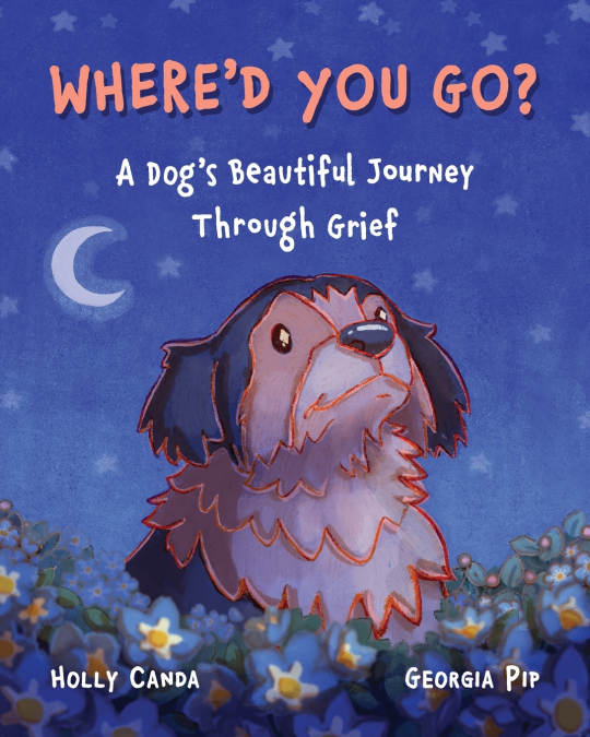 Where’d You Go?