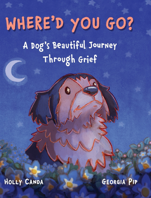 Where’d You Go?