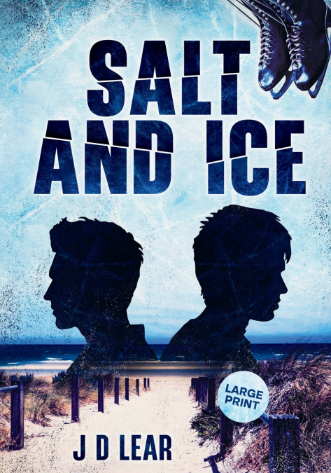 Salt and Ice
