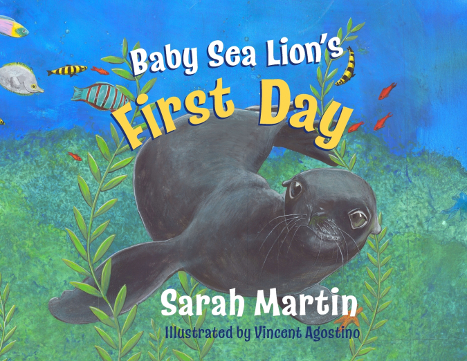 Baby Sealion’s First Day