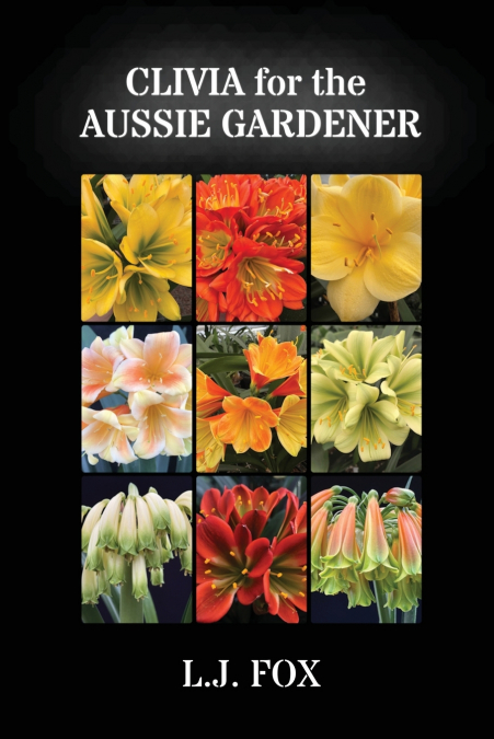 CLIVIA for the AUSSIE GARDENER
