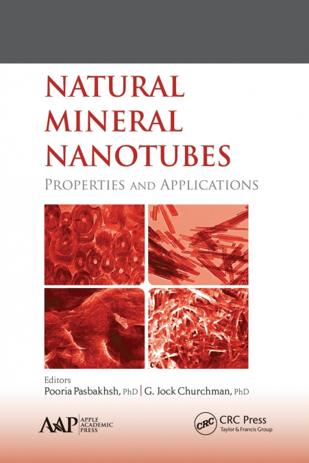 Natural Mineral Nanotubes