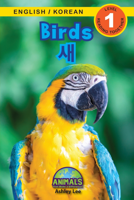 Birds / 새