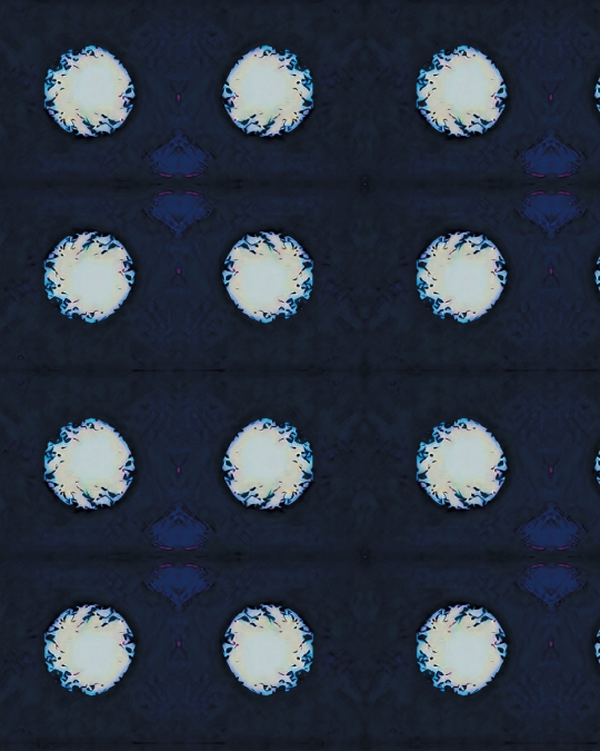 The White Dots Notebook