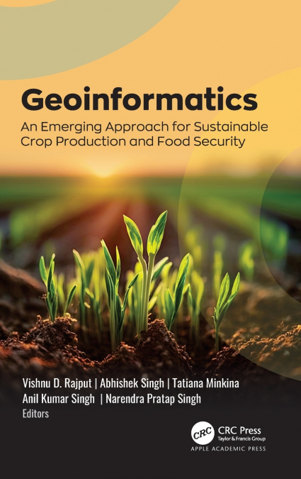 Geoinformatics