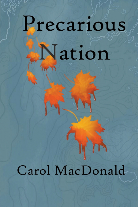 Precarious Nation