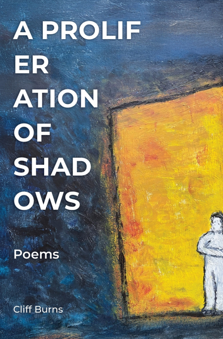 A Proliferation of Shadows