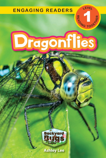 Dragonflies