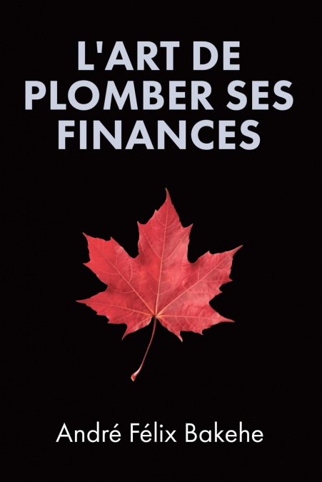 L’Art de Plomber ses Finances