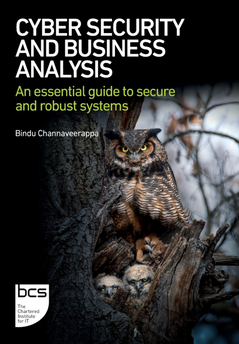 Cyber Security and Business Analysis