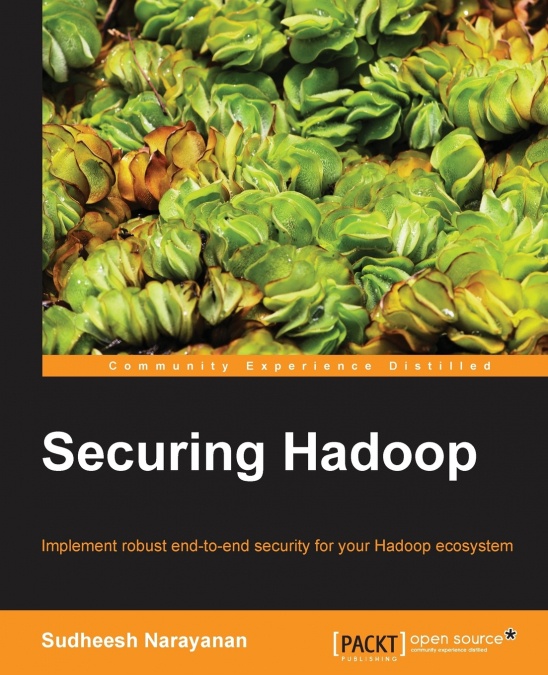 Securing Hadoop