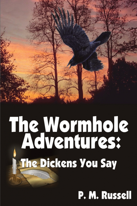 The Wormhole Adventures