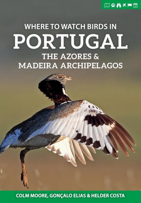 Where to Watch Birds in Portugal, the Azores & Madeira Archipelagos