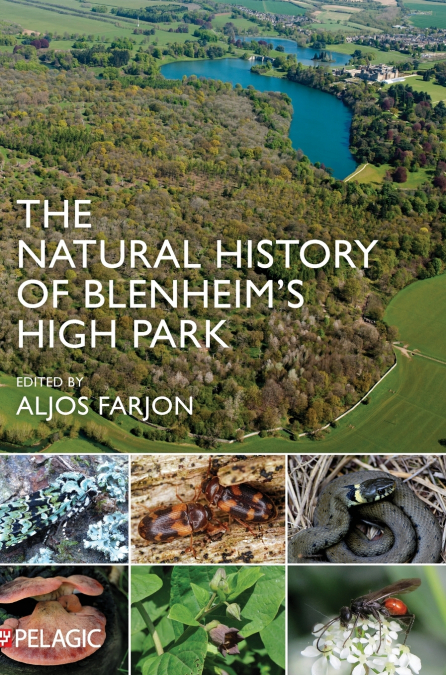 The Natural History of Blenheim’s High Park