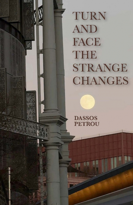 Turn and Face the Strange Changes