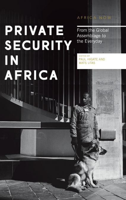 Private Security in Africa