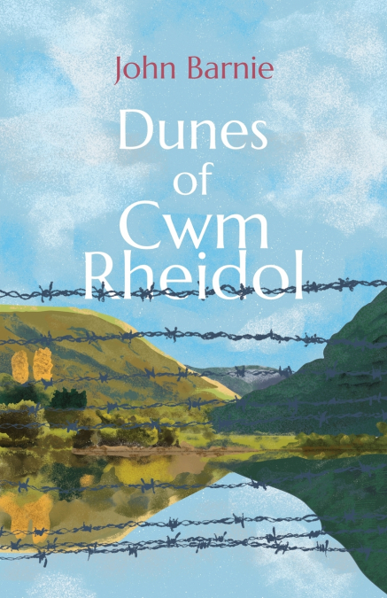 Dunes of Cwm Rheidol