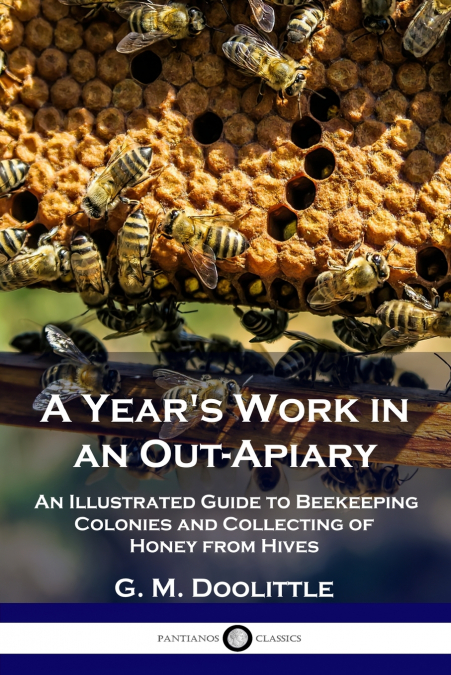 A Year’s Work in an Out-Apiary
