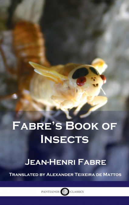 Fabre’s Book of Insects