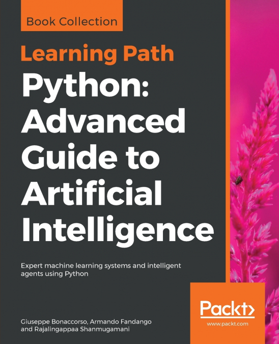 Python Advanced Guide to Artificial Intelligence