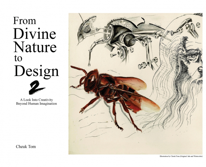 From Divine Nature to Design 2